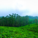 Kerala